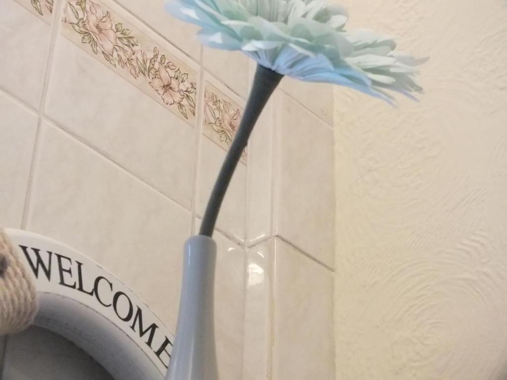 Leonardos Guest House Swansea Pokoj fotografie